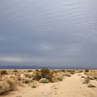 *Mojave Desert*