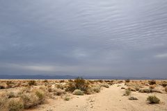 *Mojave Desert*