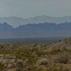 Mojave Desert