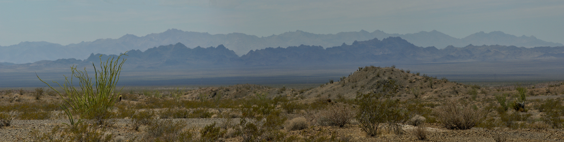 Mojave Desert