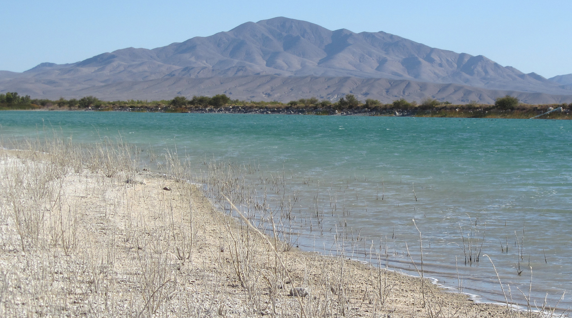 Mojave-Wüste, Nevada