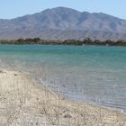 Mojave-Wüste, Nevada