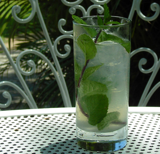 - Mojito -