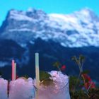 Mojito vor der Eigernordwand