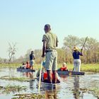 Mokoro-Fahrten im Okavangodelta