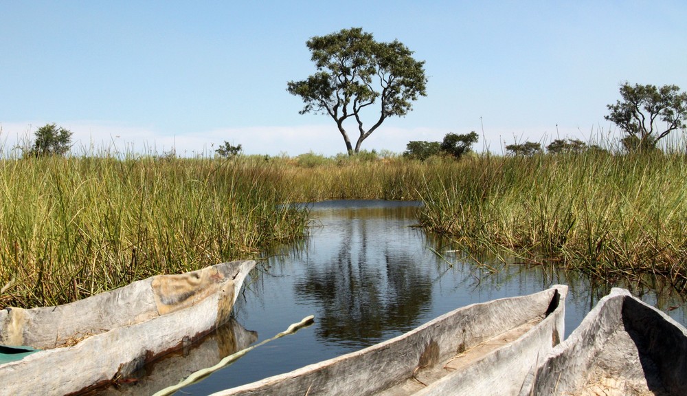 Mokoro Tour im Okavango