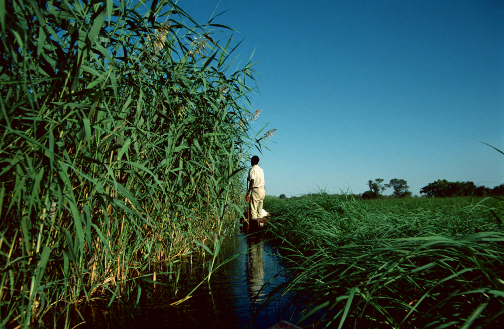 Mokorofahrt auf dem Okavango - 1992 - (1)