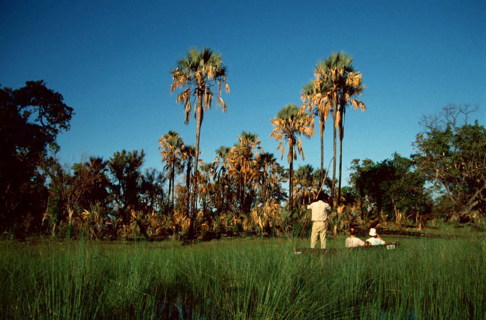 Mokorofahrt auf dem Okavango - 1992 - (3)