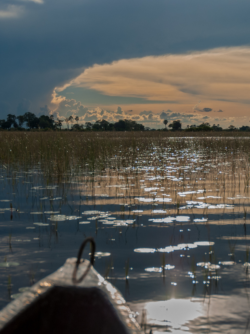 Mokorofahrt im Okavango-Delta