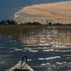 Mokorofahrt im Okavango-Delta