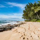 Mokule'ia Beach, Hawaii