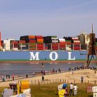 MOL Triumph