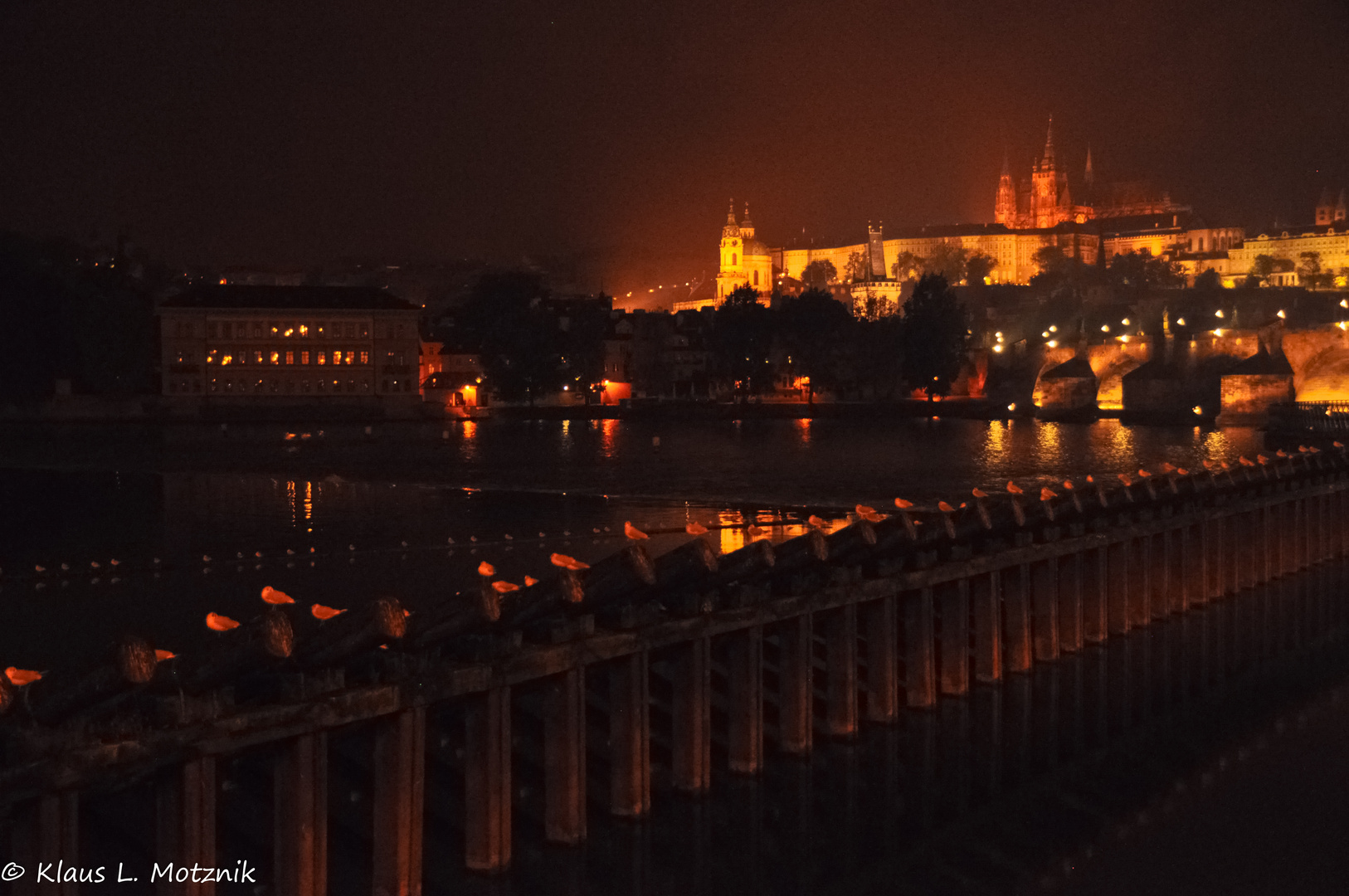 Moldau bei Nacht