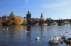 Moldau mit Karlsbrücke (1)