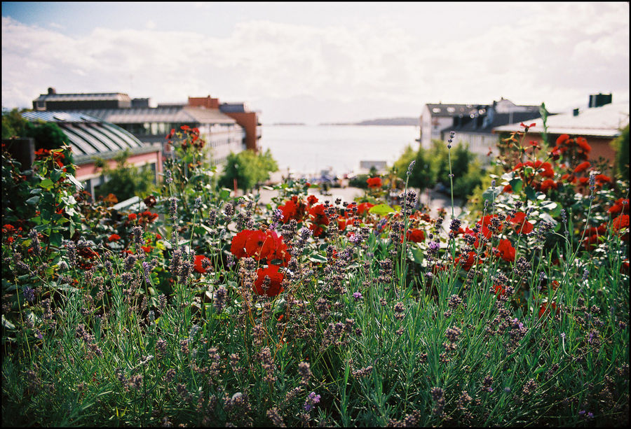 Molde - Norwegen