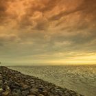 Mole nach dem Gewitter