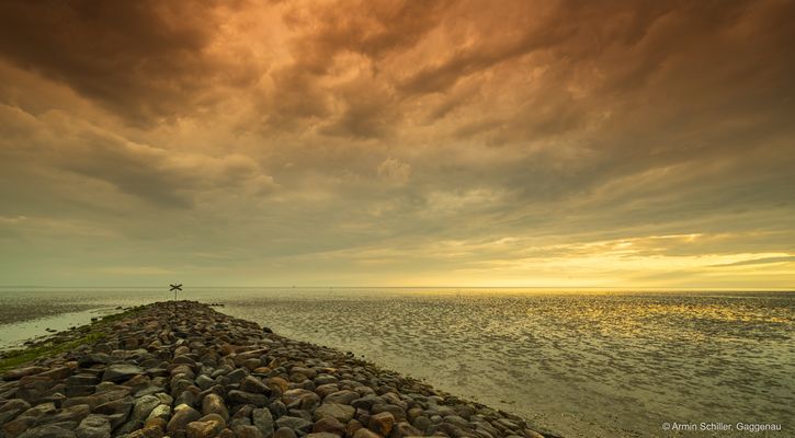 Mole nach dem Gewitter