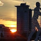 Molecule Man