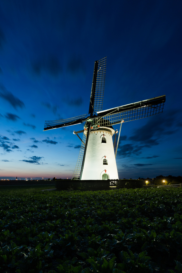 Molen Buiten Verwachting