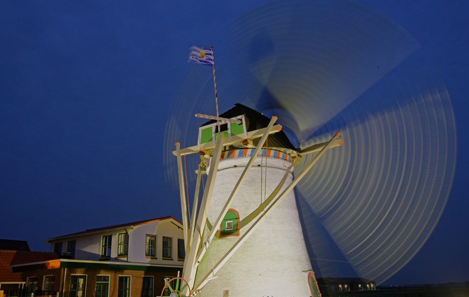 Molen de Lelie (2)