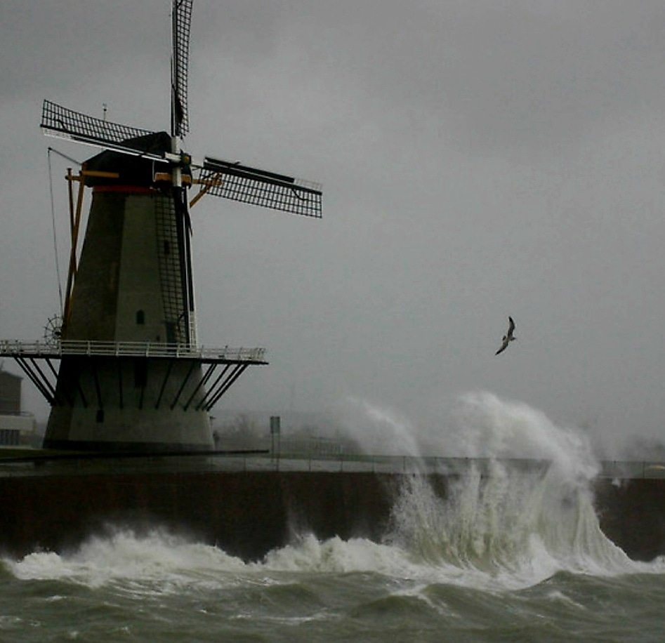 Molen 