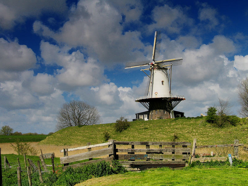 Molen in Veere (Zeeland)