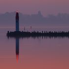 Molenfeuer Hafen Stralsund II