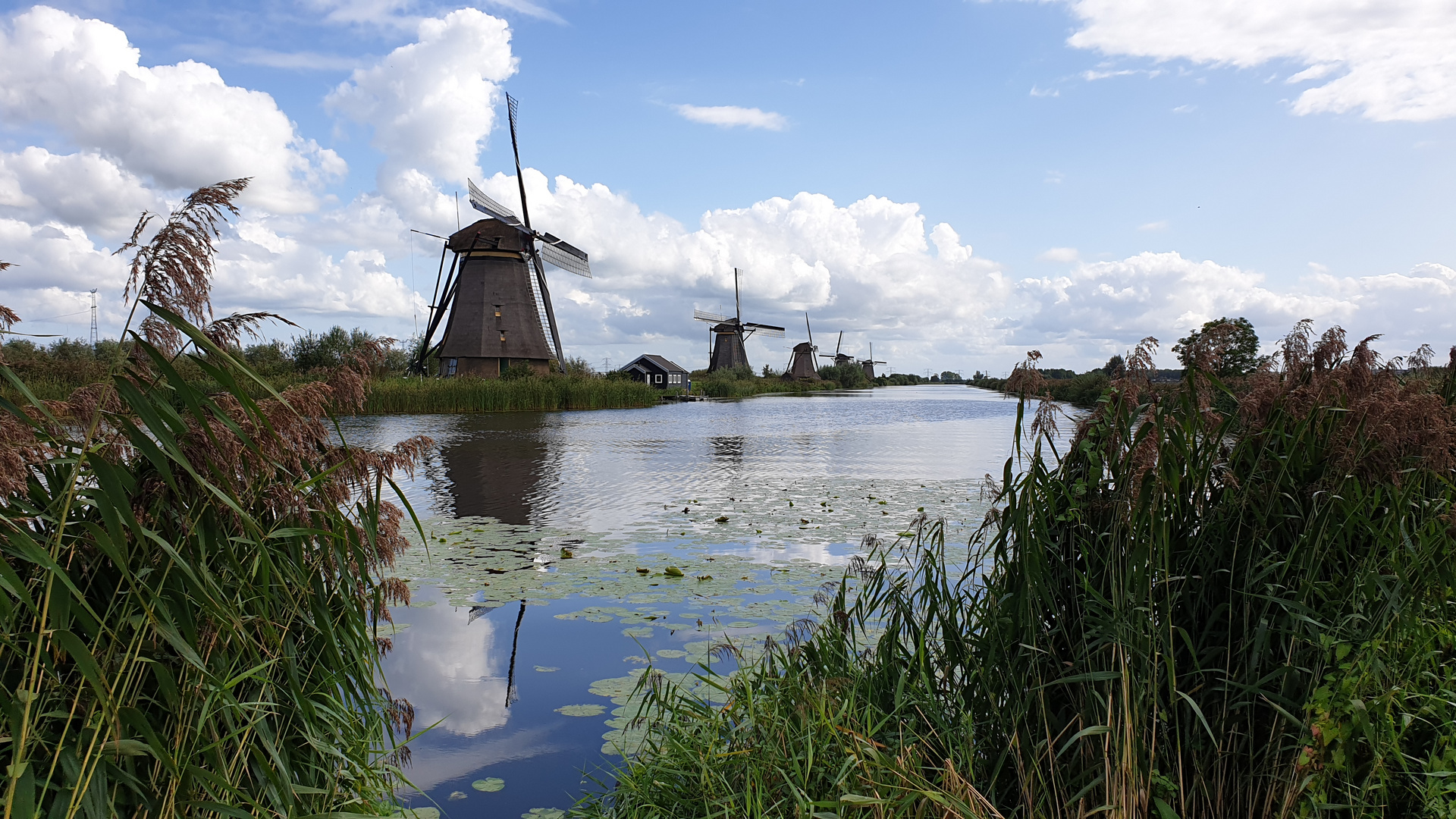 Molenpark Kinderdijk 