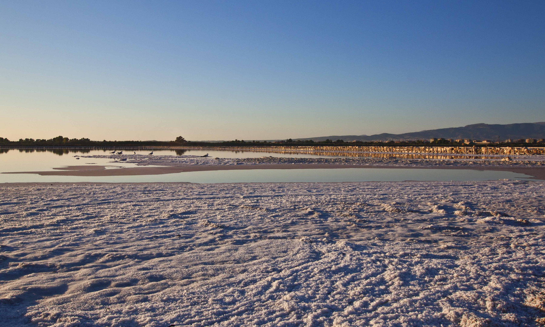 Molentargius Saline Natural Regional Park-Sunset