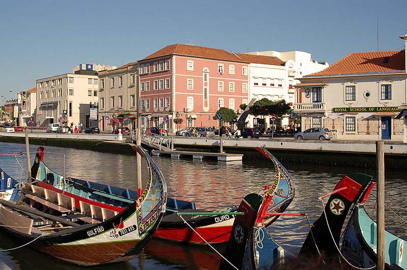 Moliceiros no Rossio