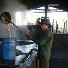 Molienda de caña de azucar, El Salvador