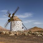 Molino auf Fuerteventura