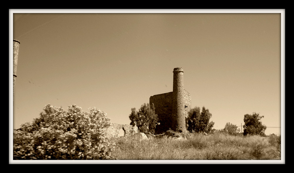 Molino de aceite