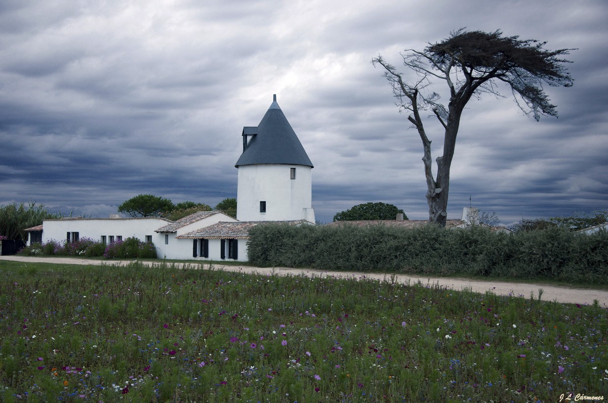 molino de Ars en Re. Poitou Charente. Francia.