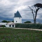 molino de Ars en Re. Poitou Charente. Francia.