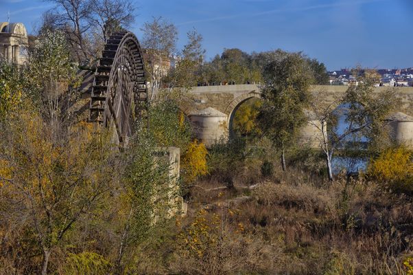 MOLINO DE LA ALBOLAFIA (Estampa otoñal)