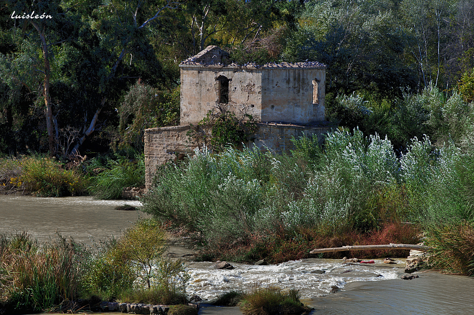 MOLINO DE PÁPALO TIERNO, CÓRDOBA (DEF0007)