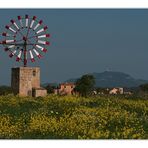 Molino De Viento