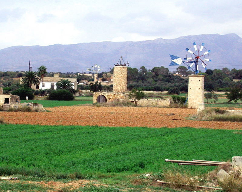 Molinos