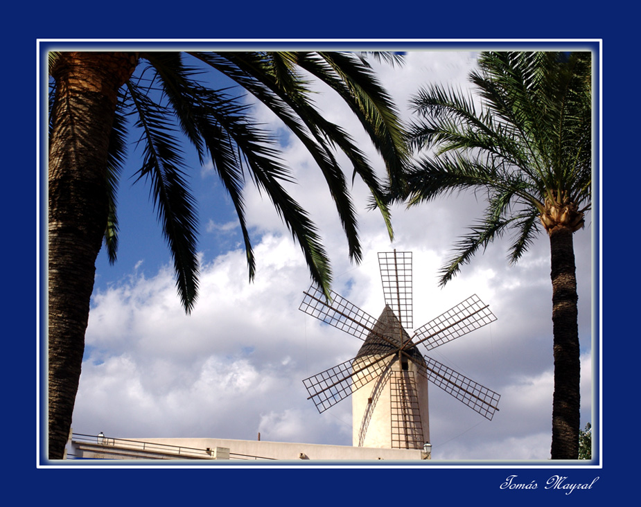 Molinos al Viento