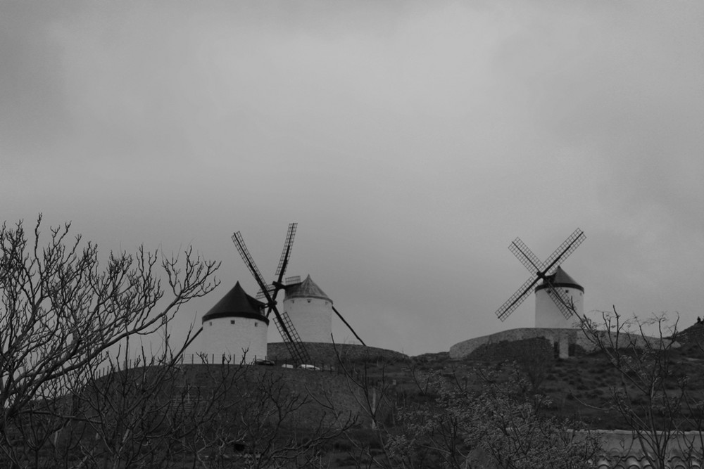 MOLINOS DE CONSUEGRA