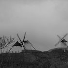 MOLINOS DE CONSUEGRA