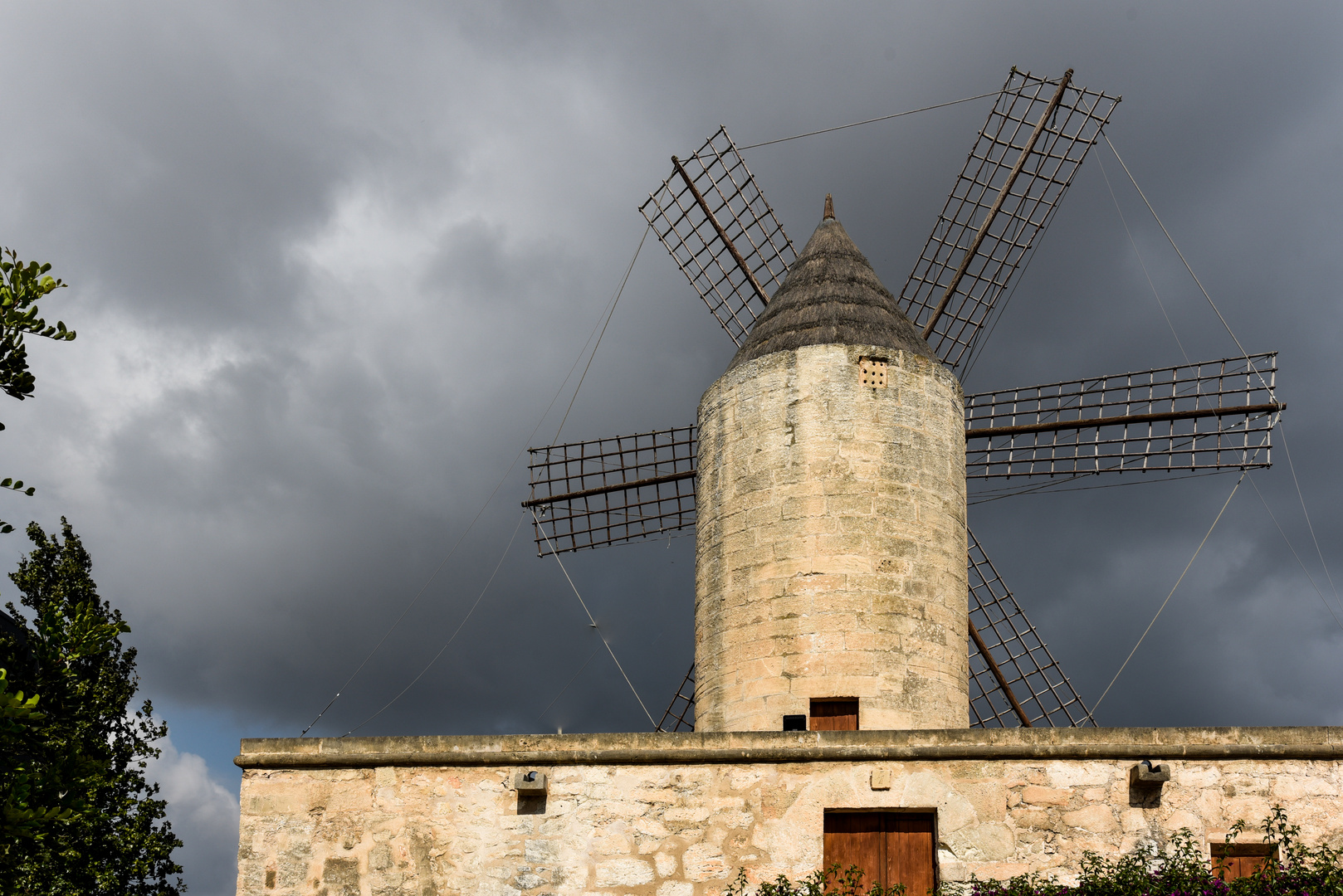 Molinos de Palma