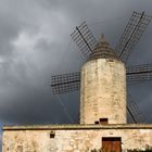 Molinos de Palma