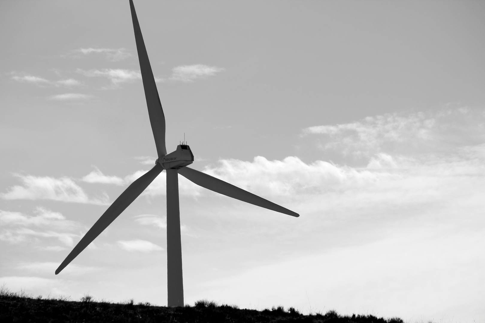 molinos de viento