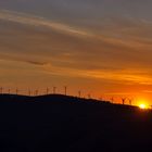 Molinos de viento