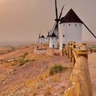 MOLINOS DE VIENTO 