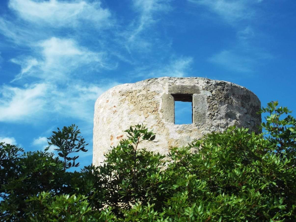 Molinos de viento en Valencia