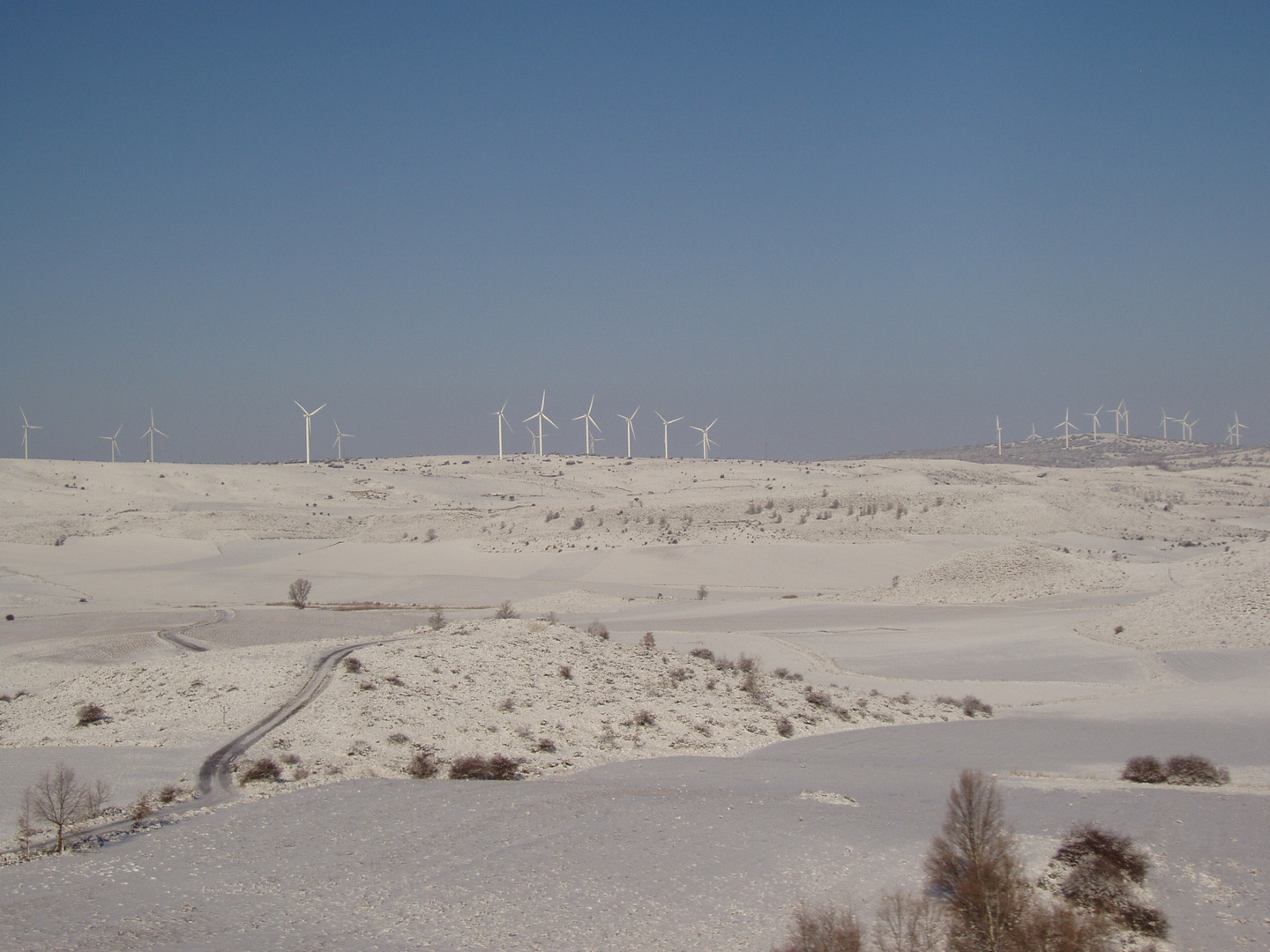 Molinos en blanco