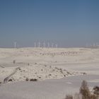 Molinos en blanco